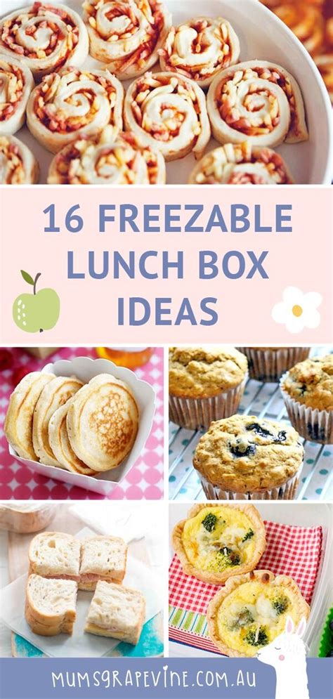 the electric lunch box instructions|freezable lunch box ideas.